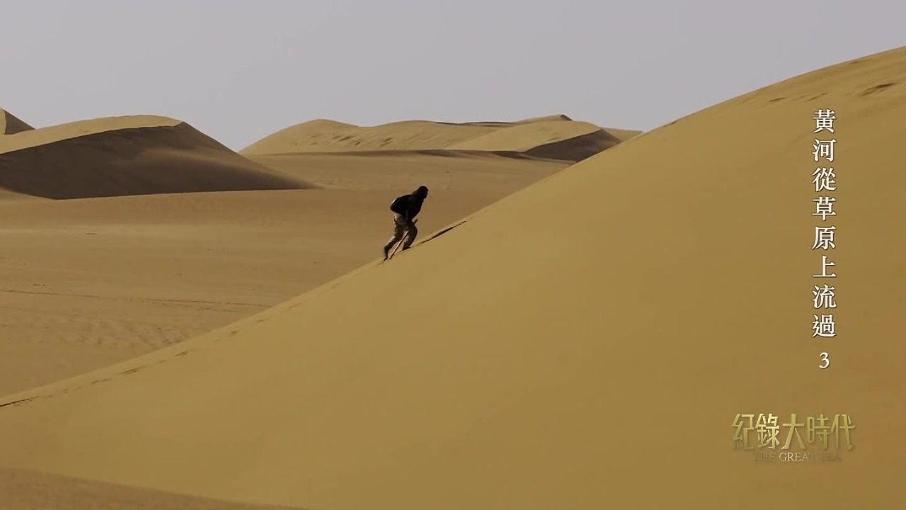 阿拉善沙漠地区，牧民大力发展骆驼养殖业，也会挖“沙漠人参”补贴家用