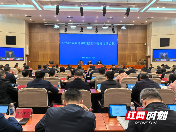 会议现场。图/张雪盈
