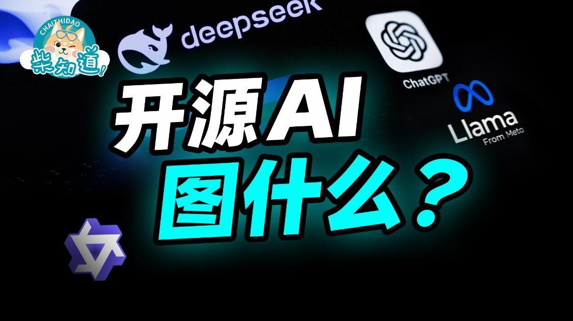 开源 = 为爱发电？DeepSeek 们到底怎么赚钱？