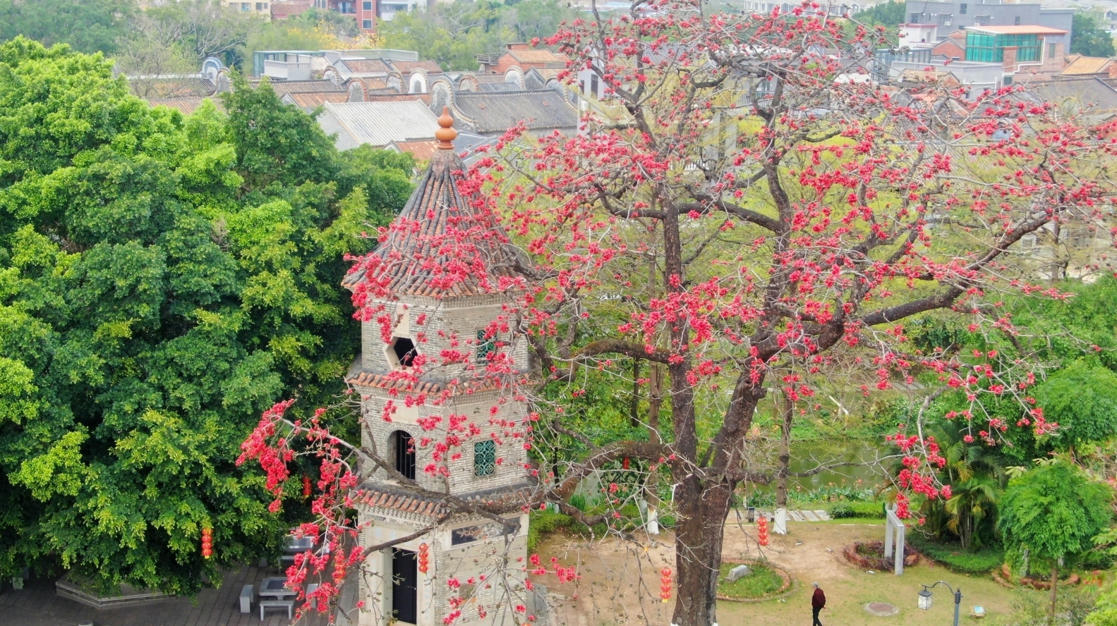 图:盛放的木棉花与巍峨的文塔交相辉映。凤凰网广东佛山频道 邓志毅 摄