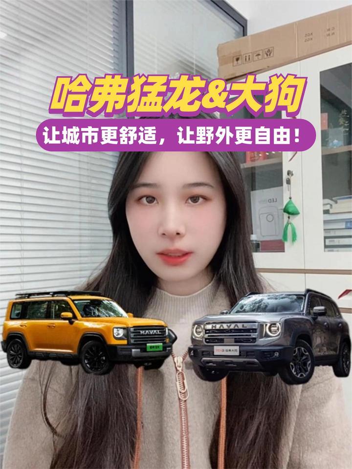 哈弗猛龙&大狗 让城市更舒适，让野外更自由