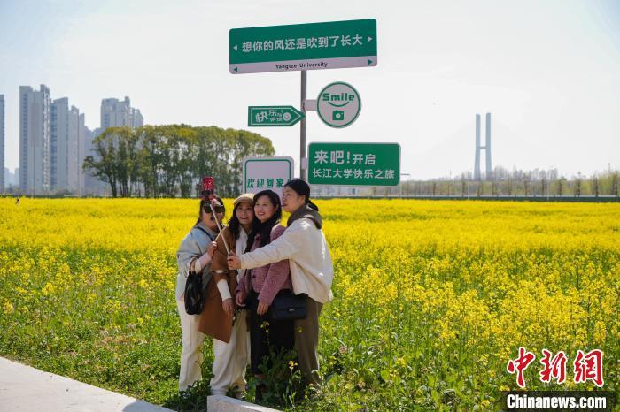 图为游客在彩色油菜花前拍照。吴淘淘 摄