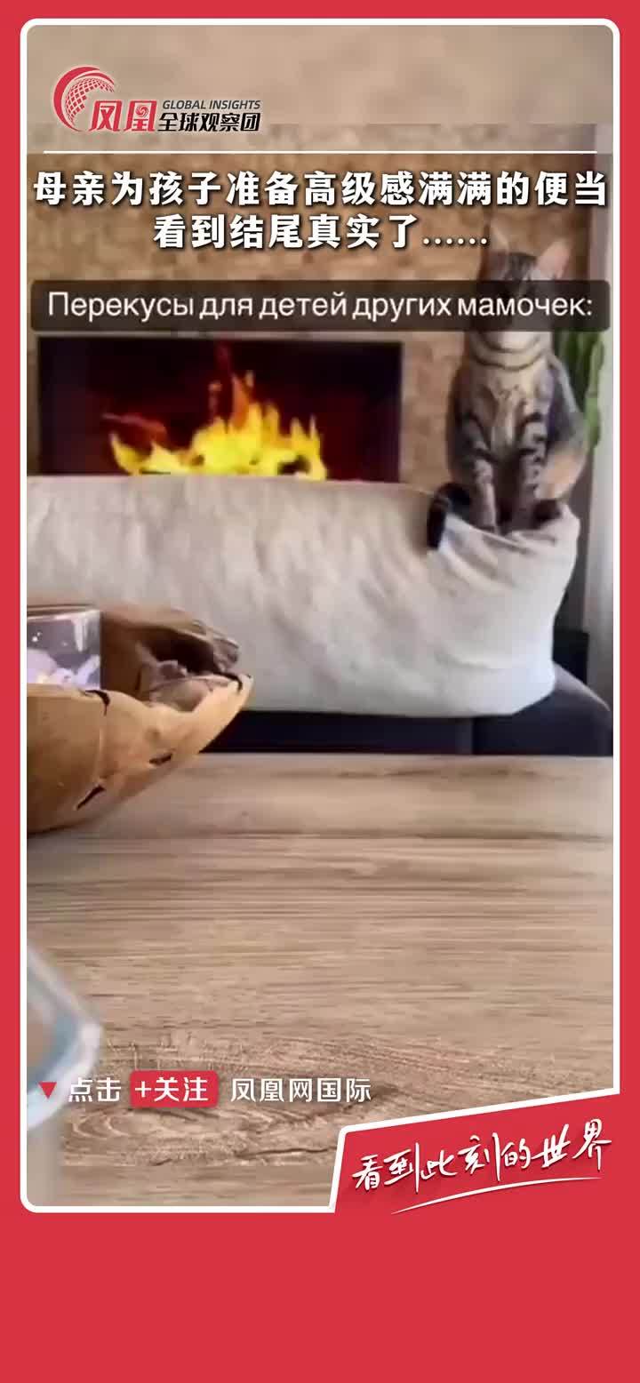 母亲为孩子准备高级感满满的便当，看到结尾真实了··· #美食  #便当  #生活  #妈妈