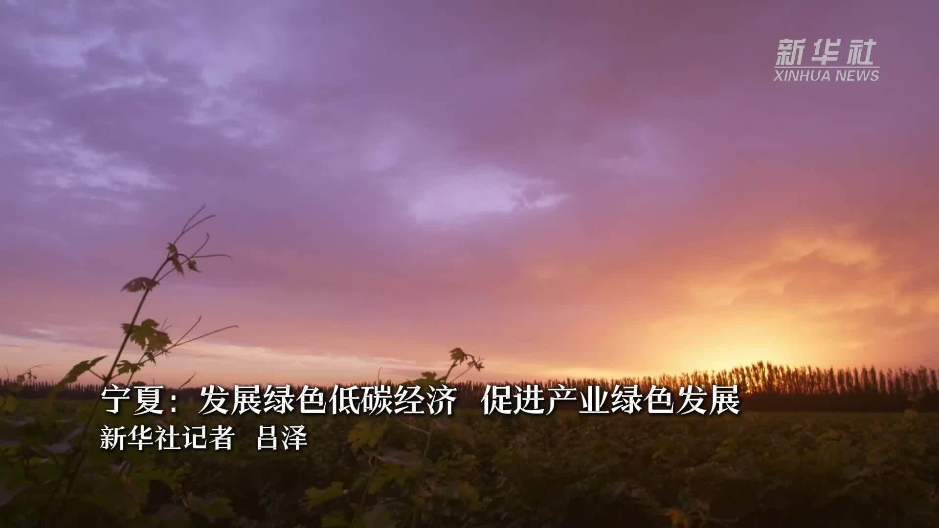 宁夏：发展绿色低碳经济 促进产业绿色发展