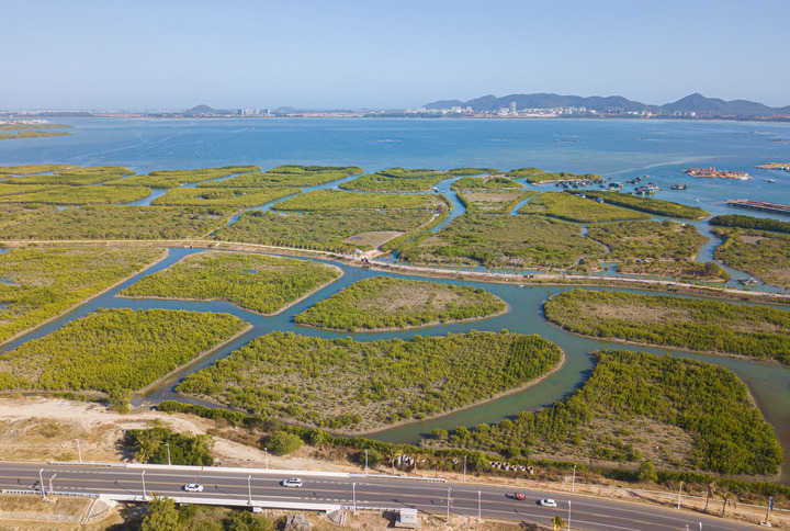 海南陵水红树林国家湿地公园，红树林与城市相得益彰。新华社记者 蒲晓旭 摄