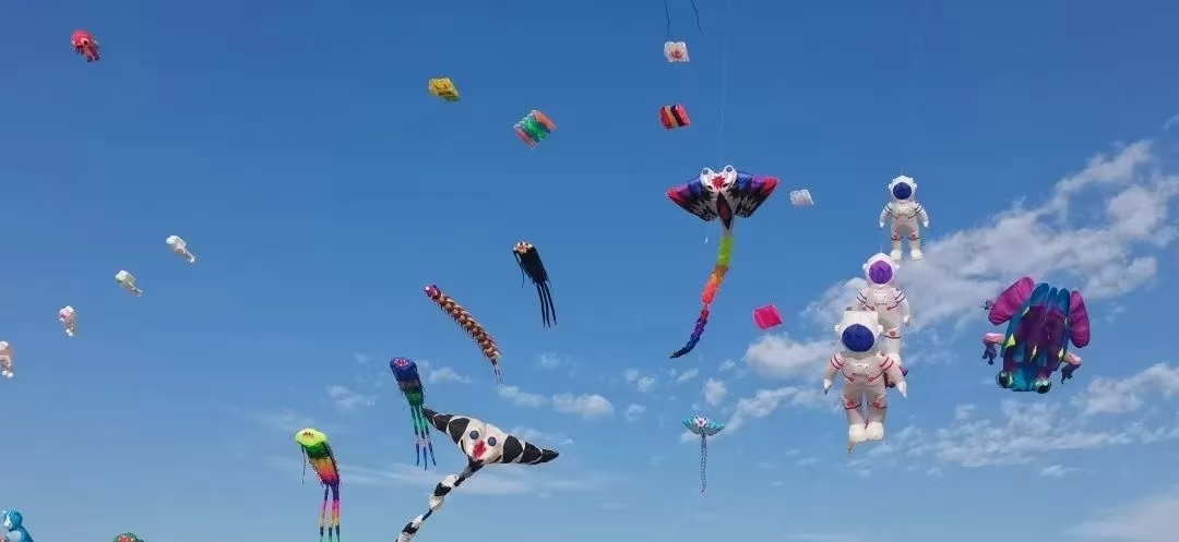 筝艳骆岗 放飞梦想