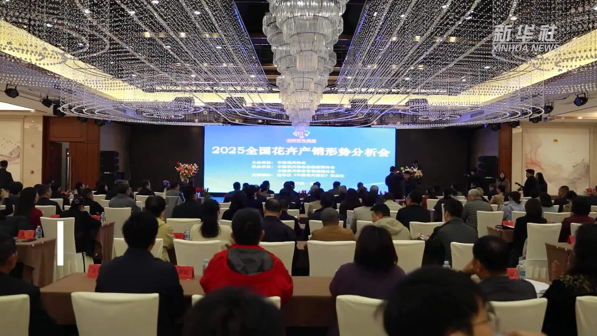 全国花卉产销形势分析会：共话产业升级路径