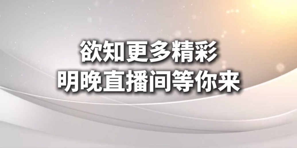 总决选倒计时：赛前状态