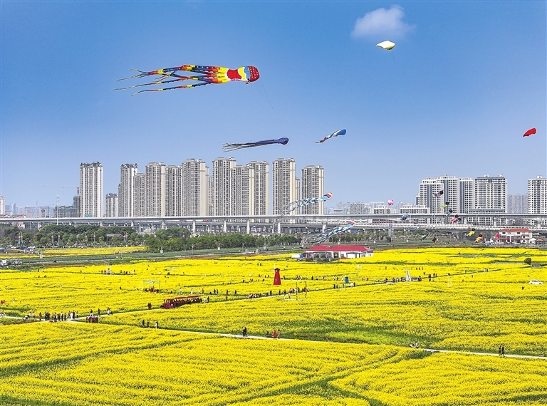 南昌县：踏春赏花（图）