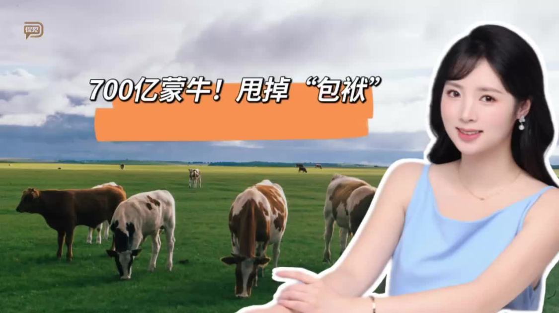 700亿蒙牛，甩掉“包袱”