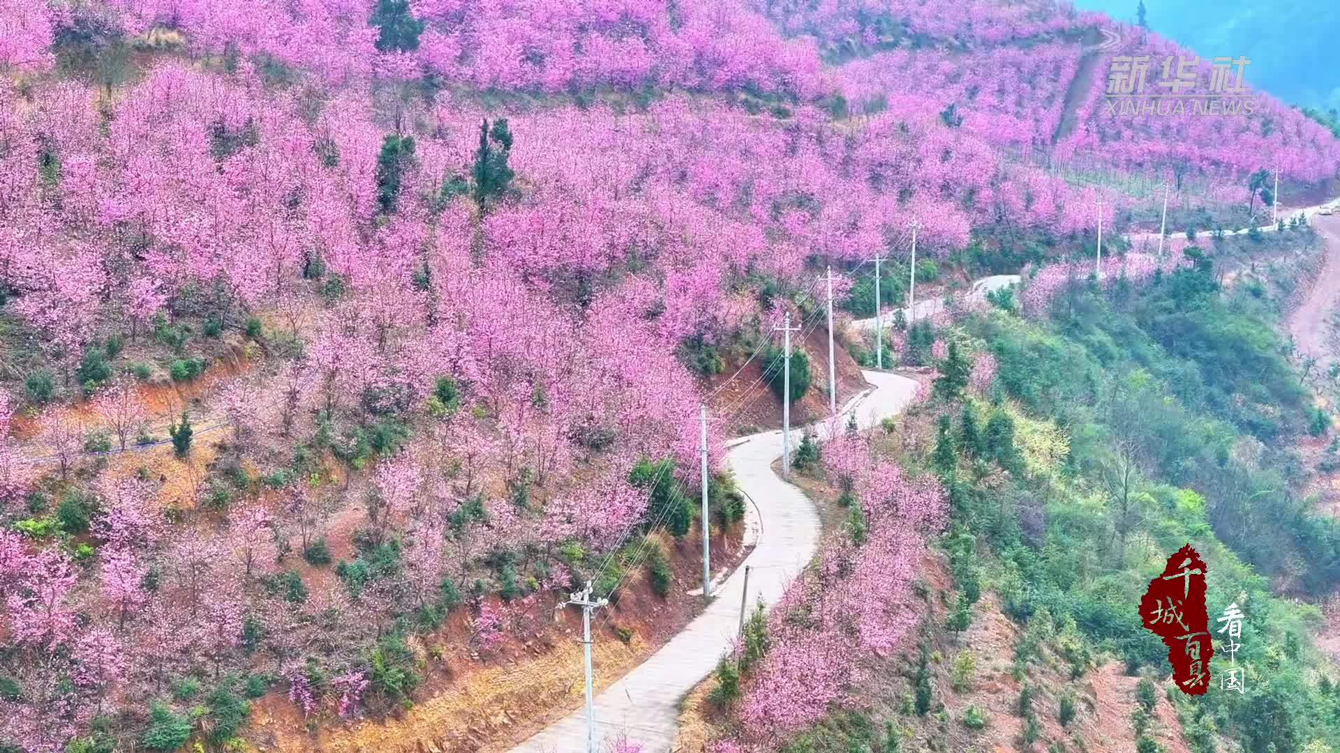 千城百县看中国｜湖南东安：花漾乡村春如画