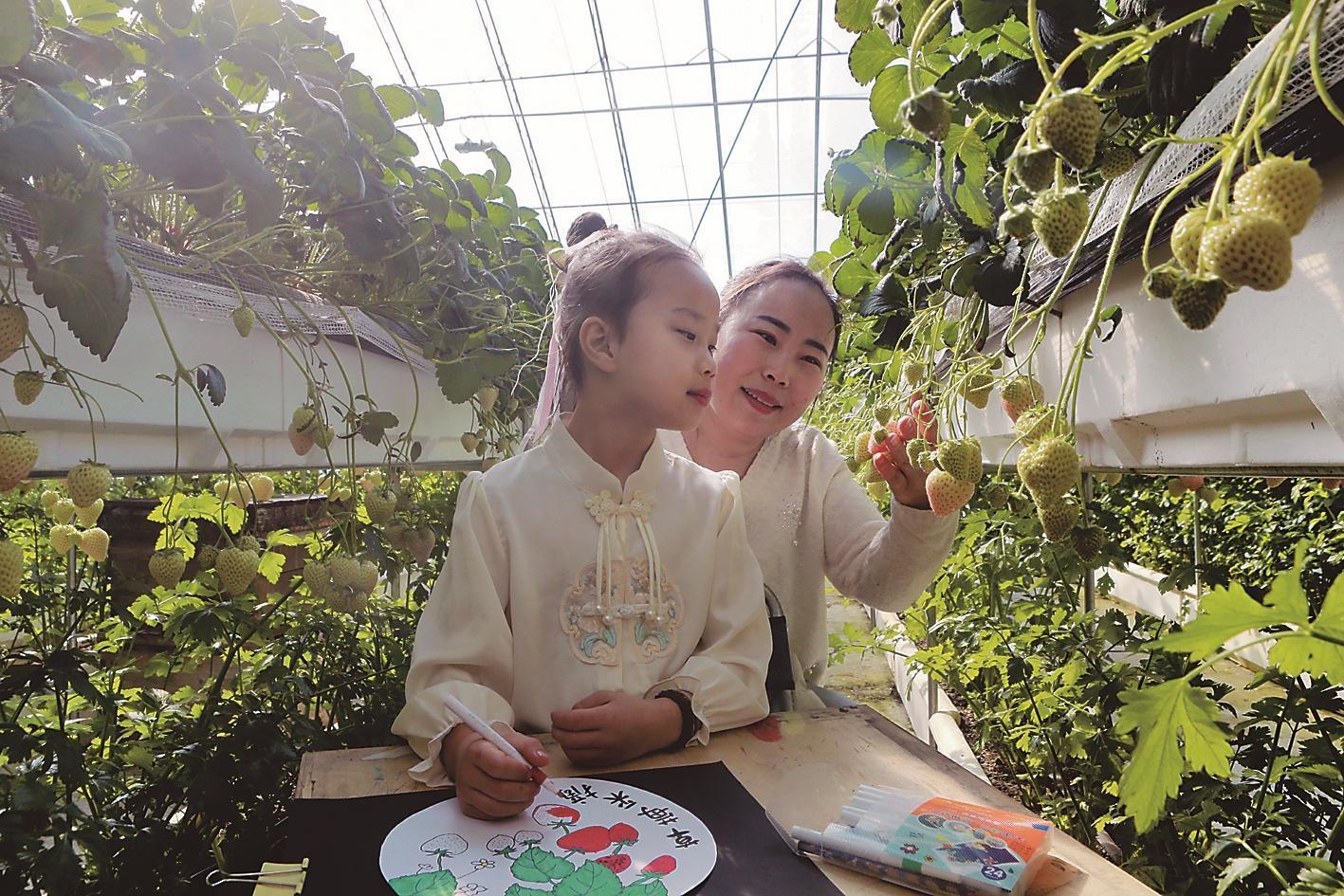第十一届双阳奢岭温泉草莓旅游季正式启幕凤凰网吉林_凤凰网