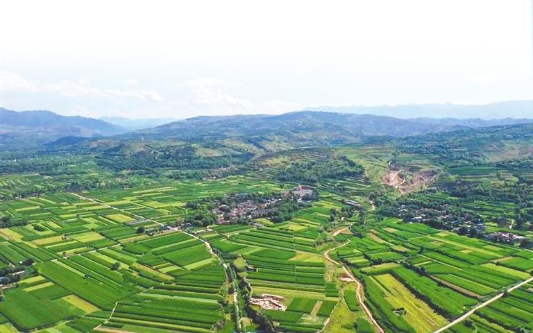 临洮县寺洼遗址全貌　本版图片均为资料图