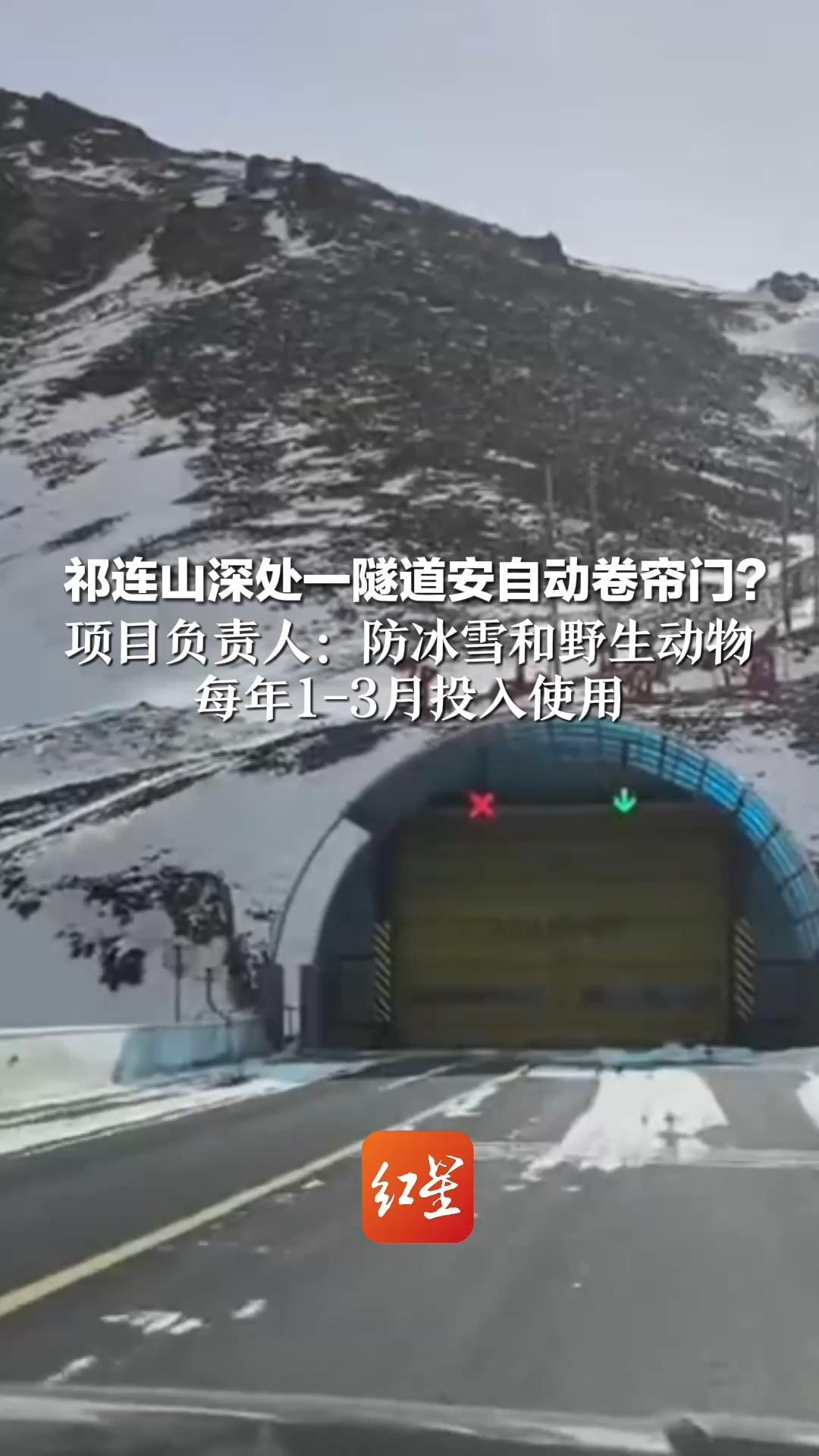 祁连山深处一隧道安自动卷帘门？ 项目负责人：防冰雪和野生动物 每年1-3月投入使用