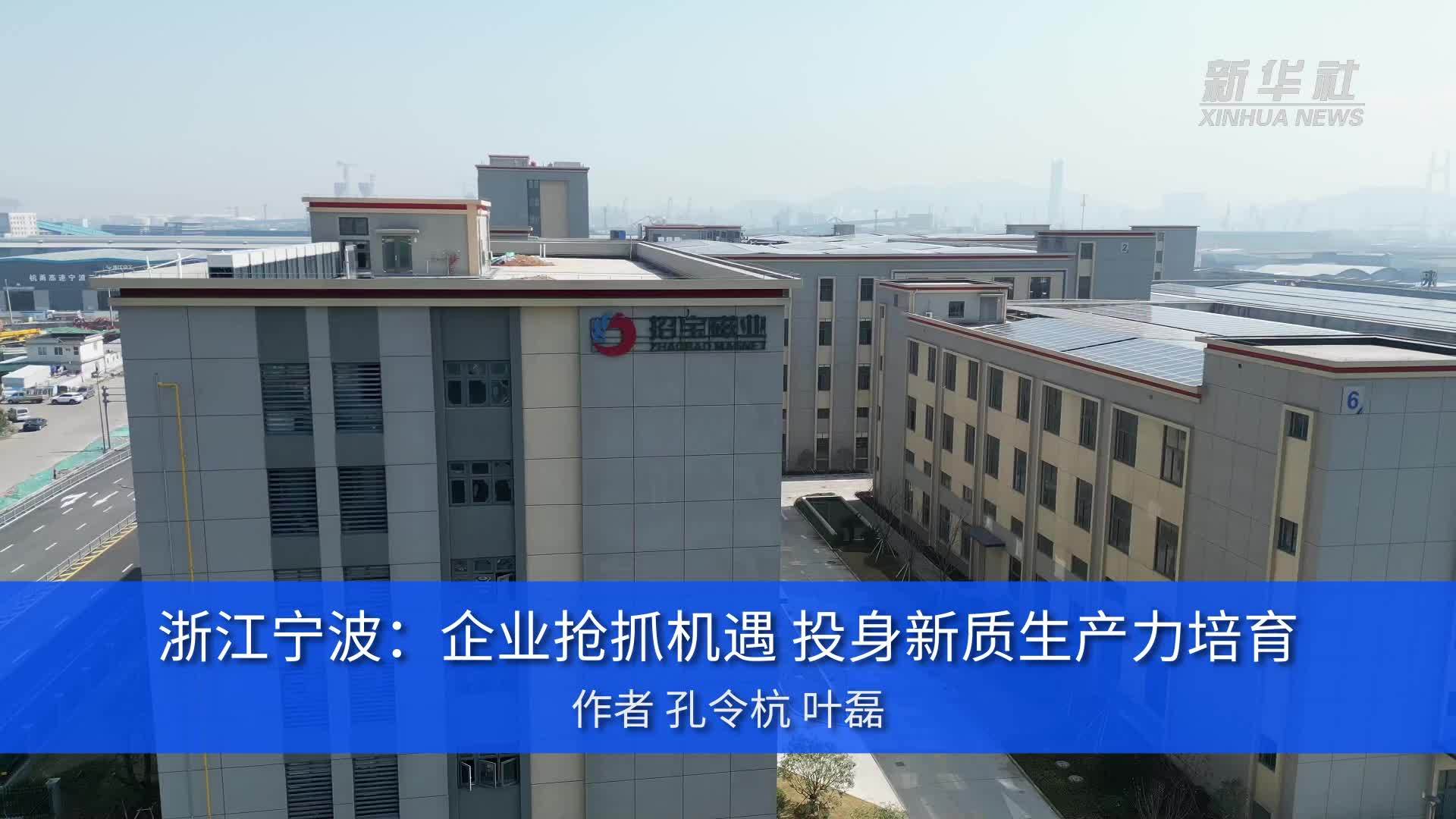 浙江宁波：企业抢抓机遇，投身新质生产力培育