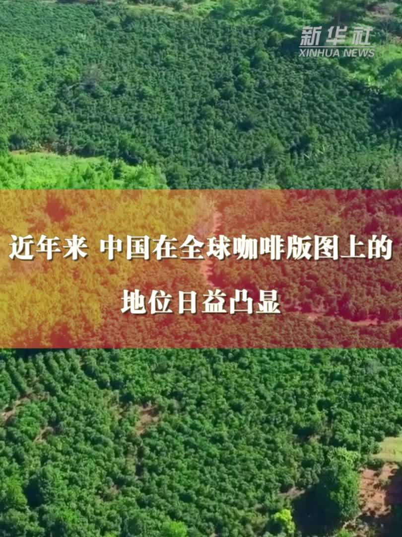 “从种子到杯子”“云咖”味飘香——云南咖啡产业发展一线观察