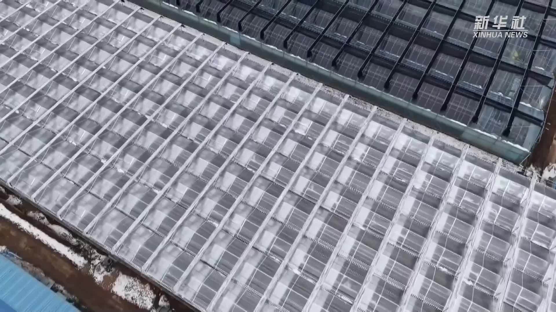 陕西黄龙：科技育新苗 播种新希望