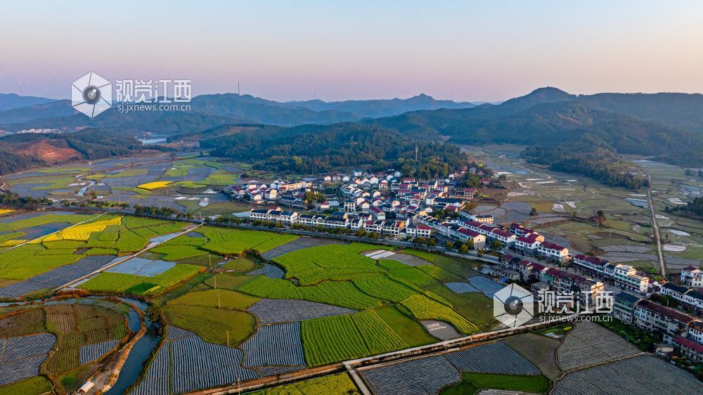2025年3月19日在江西省吉安市峡江县砚溪镇拍摄。