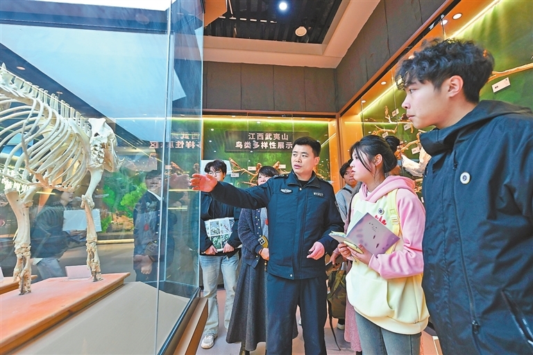 3月19日，在武夷山國家公園江西片區宣教館內，郭洪興向上饒職業技術學院的學生介紹動物標本。