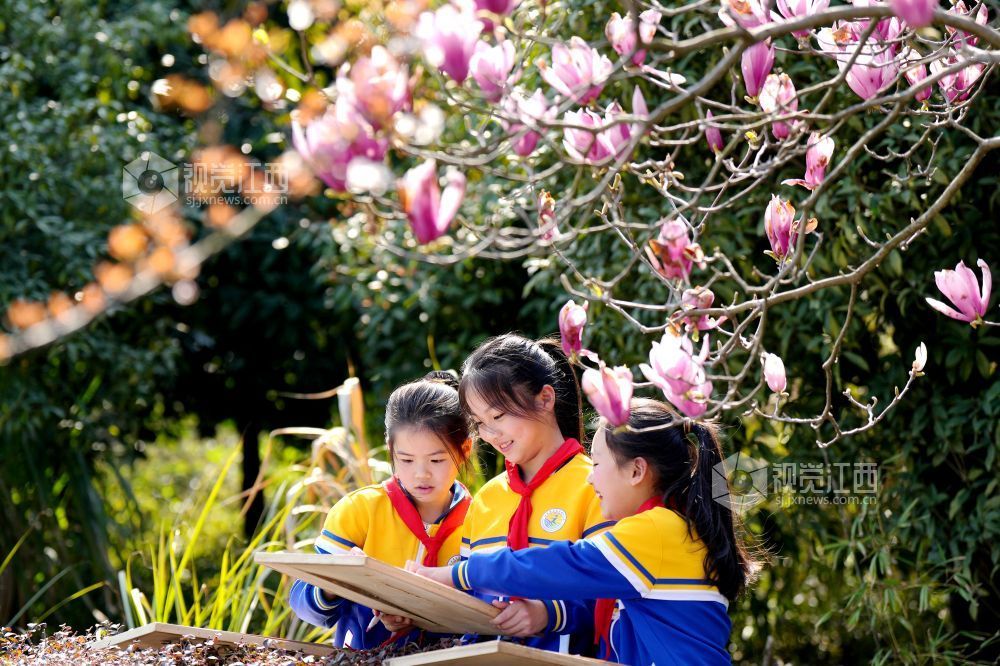 春日美好（图）