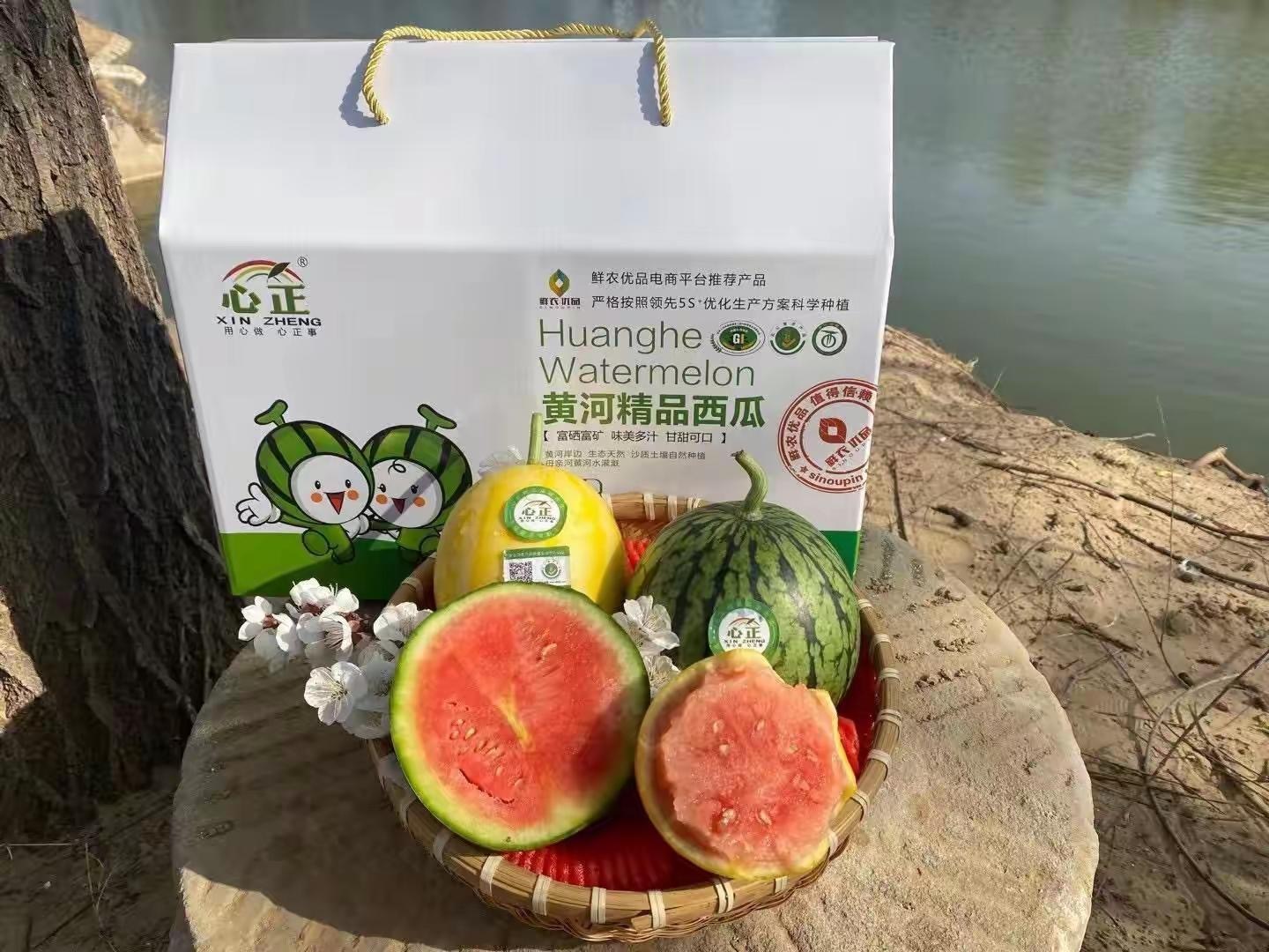 这里的万亩西瓜“甜蜜”上市啦!