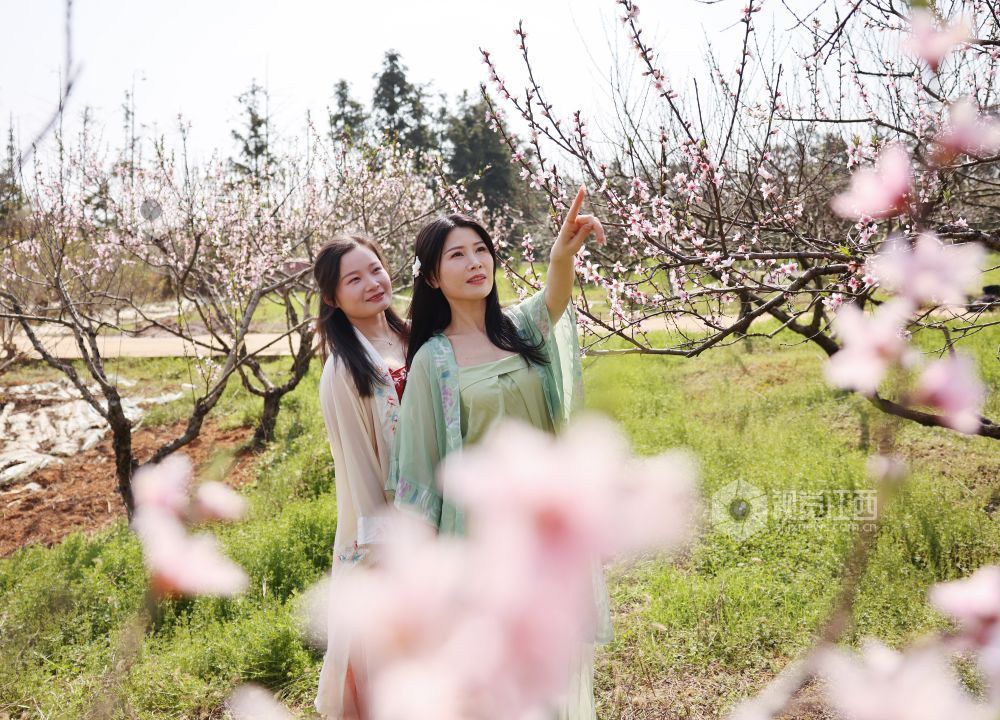 春日美好（图）