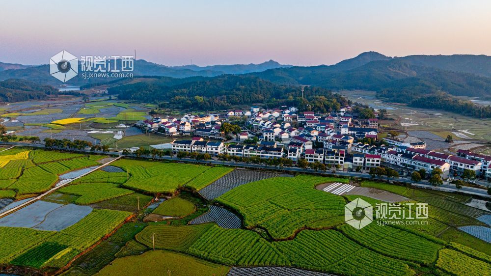 2025年3月19日在江西省吉安市峡江县砚溪镇拍摄。