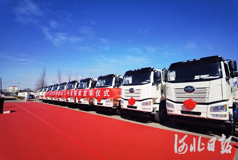 图为混凝土搅拌运输车整齐排列,整装待发。河北日报记者 王育民 摄