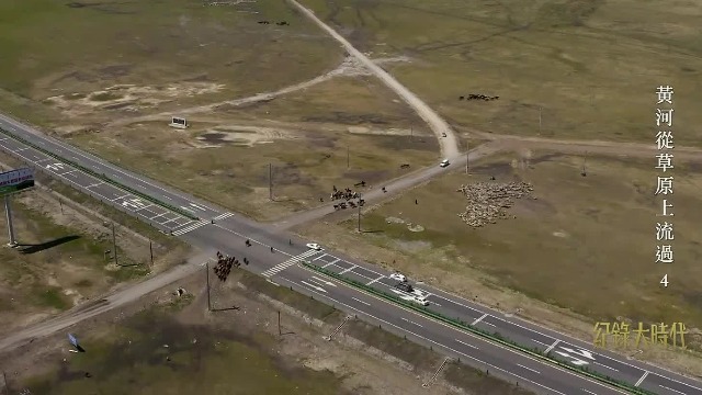 草原转场的危机之一，现代文明也会化身动物的敌人