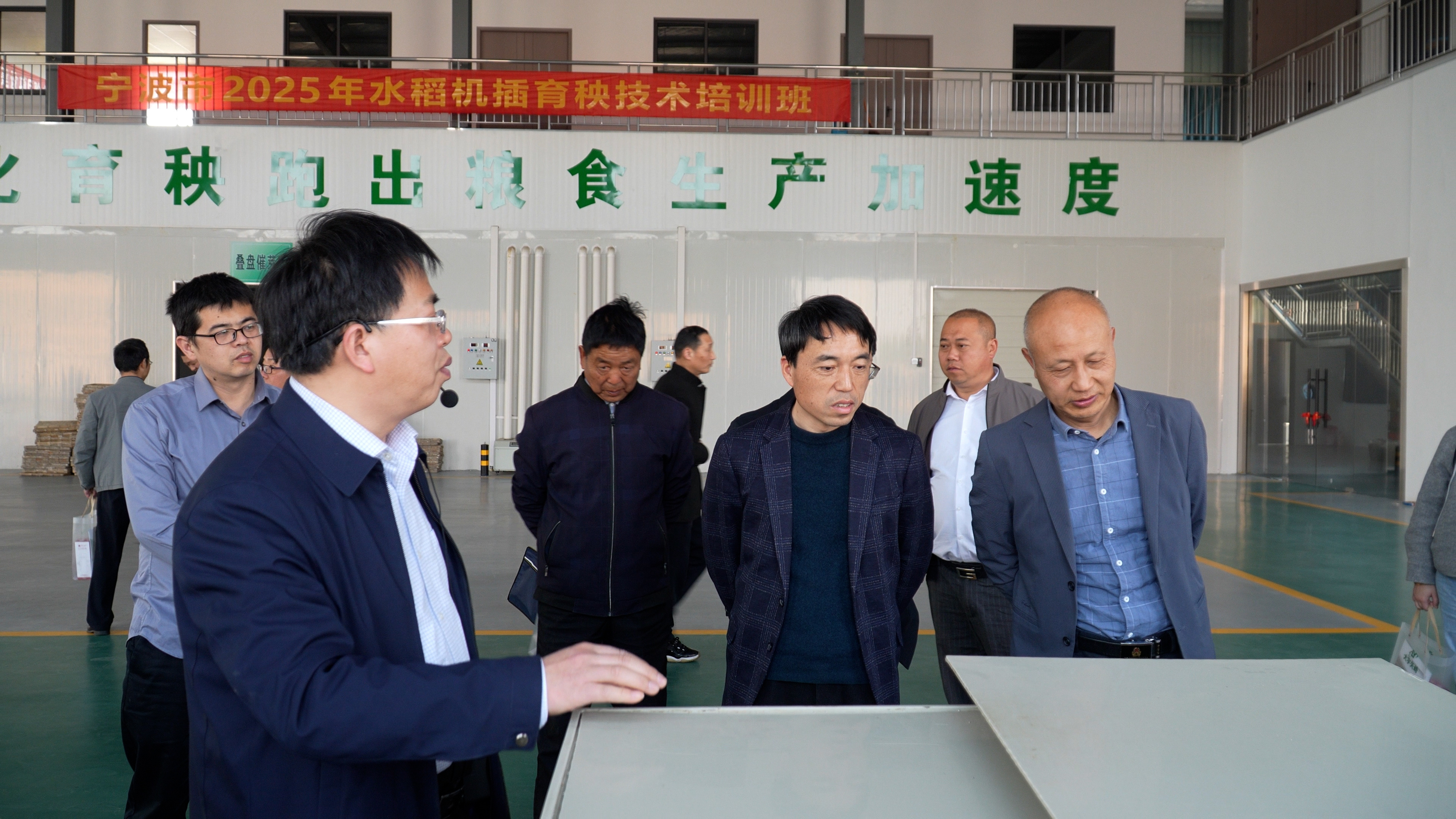 宁波市2025年水稻机插育秧技术培训班圆满举办