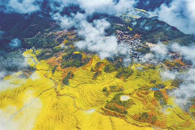 篁岭的金色阶梯