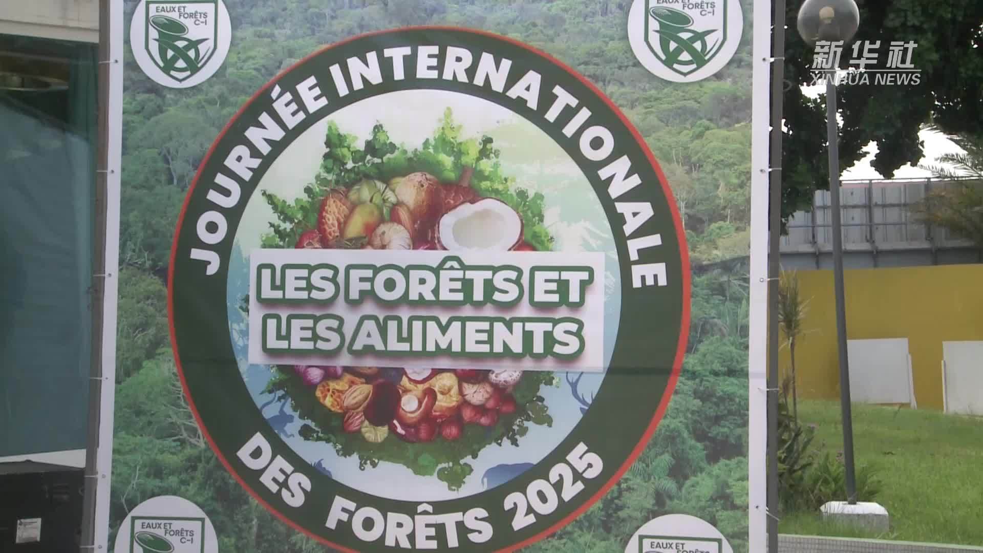 科特迪瓦举行2025年国际森林日宣传活动