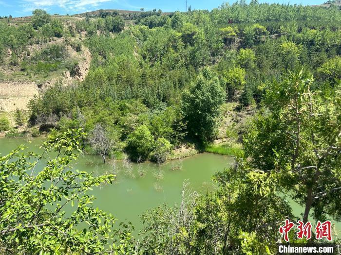 6月上旬，“刚强兄弟”56年来义务种树8万余株，400亩荒山变成了绿地，家乡的房前屋后和山坡上都绿树成荫。南如卓玛　摄