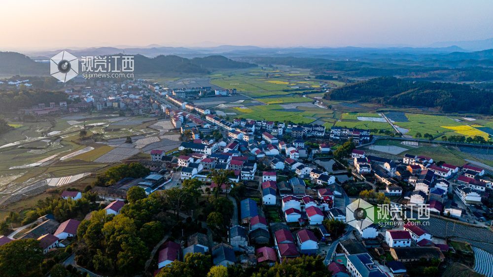 2025年3月19日在江西省吉安市峡江县砚溪镇拍摄。