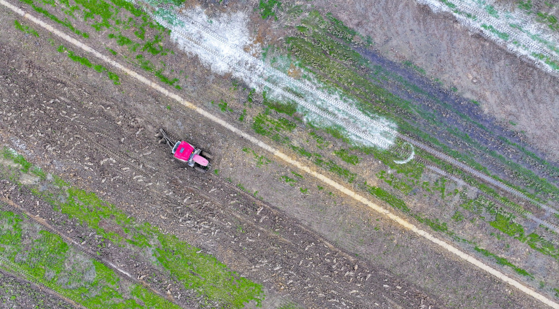 在临川区罗针镇,农民正在翻耕土地。本报记者戴庆福摄