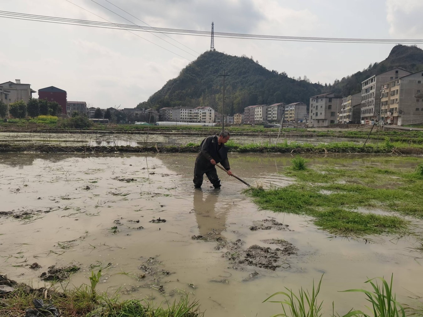 黎川县日峰镇下桥村,农民在锄草翻田,准备种莲藕苗。宋超摄