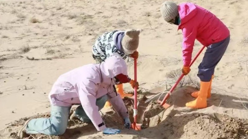 “请到民勤种棵树”成公益新时尚