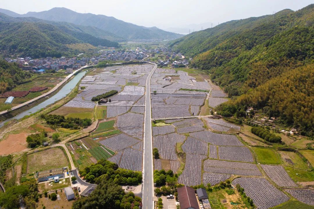 大佳何至里袁公路3.jpg