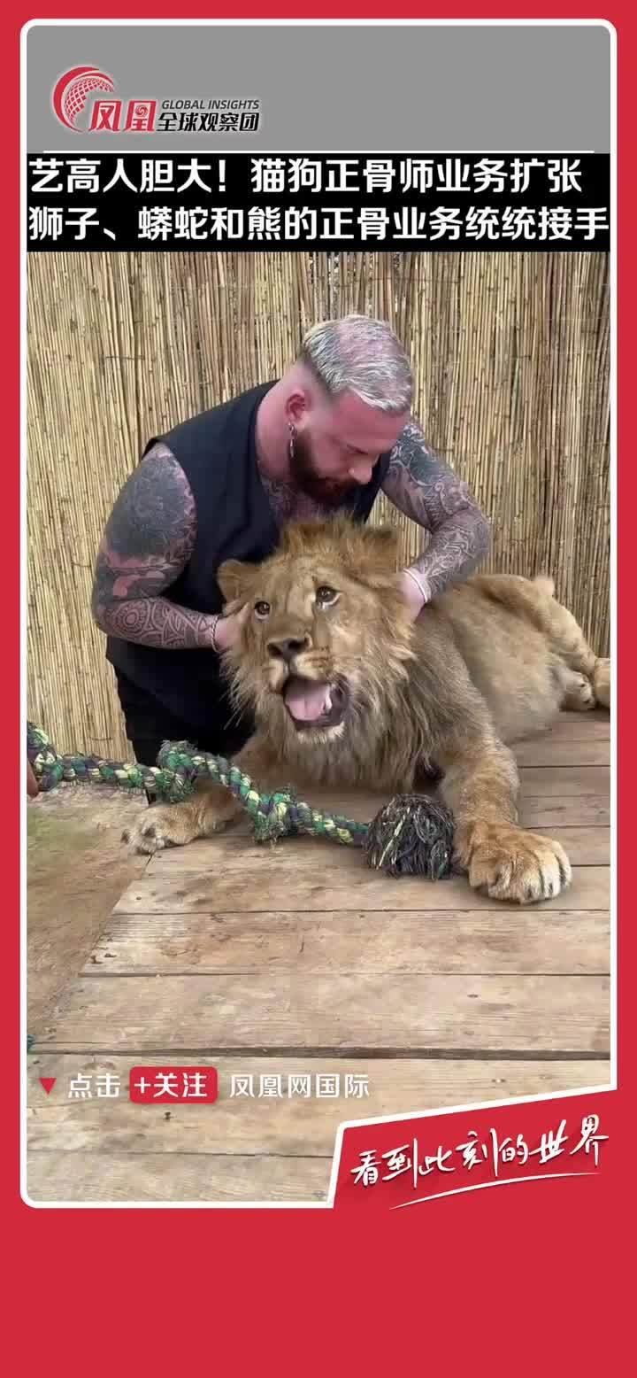 猫狗正骨师业务向野生动物扩张，狮子、蟒蛇和熊统统接手。 #自然 #野生 #正骨