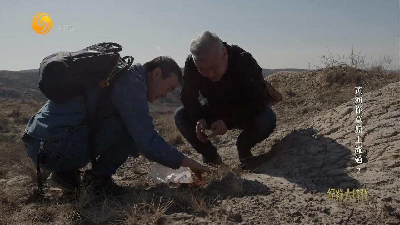 古生物化石爱好者的一个偶然发现，让旧石器时代的古人类遗址横空出世