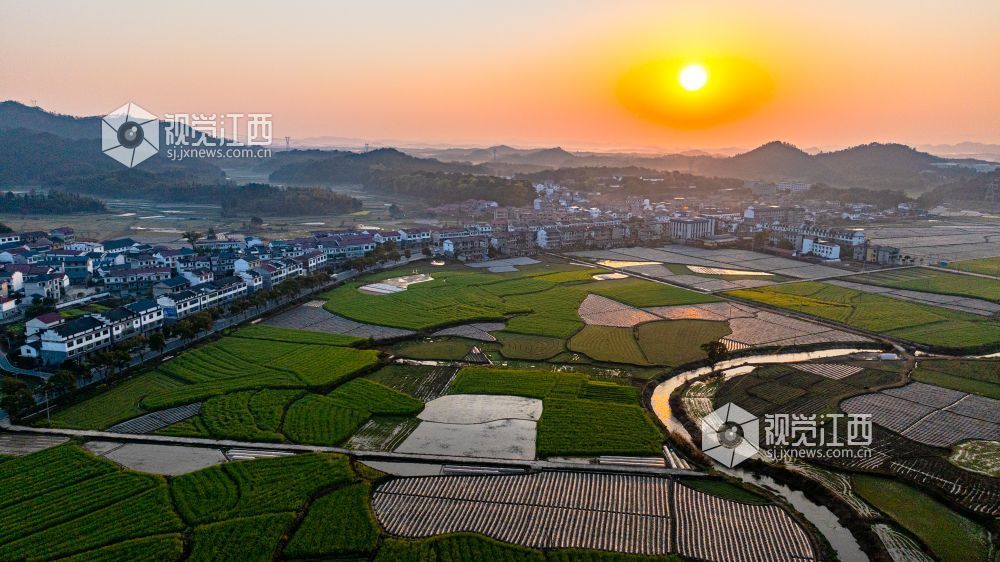 2025年3月19日在江西省吉安市峡江县砚溪镇拍摄。
