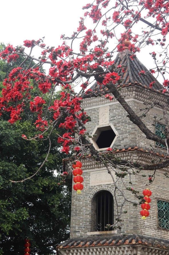 图:大旗头古村内,火红的木棉正傲然绽放,与文塔相依而立,成为春日耀眼的风景。凤凰网广东佛山频道 孙柳 摄