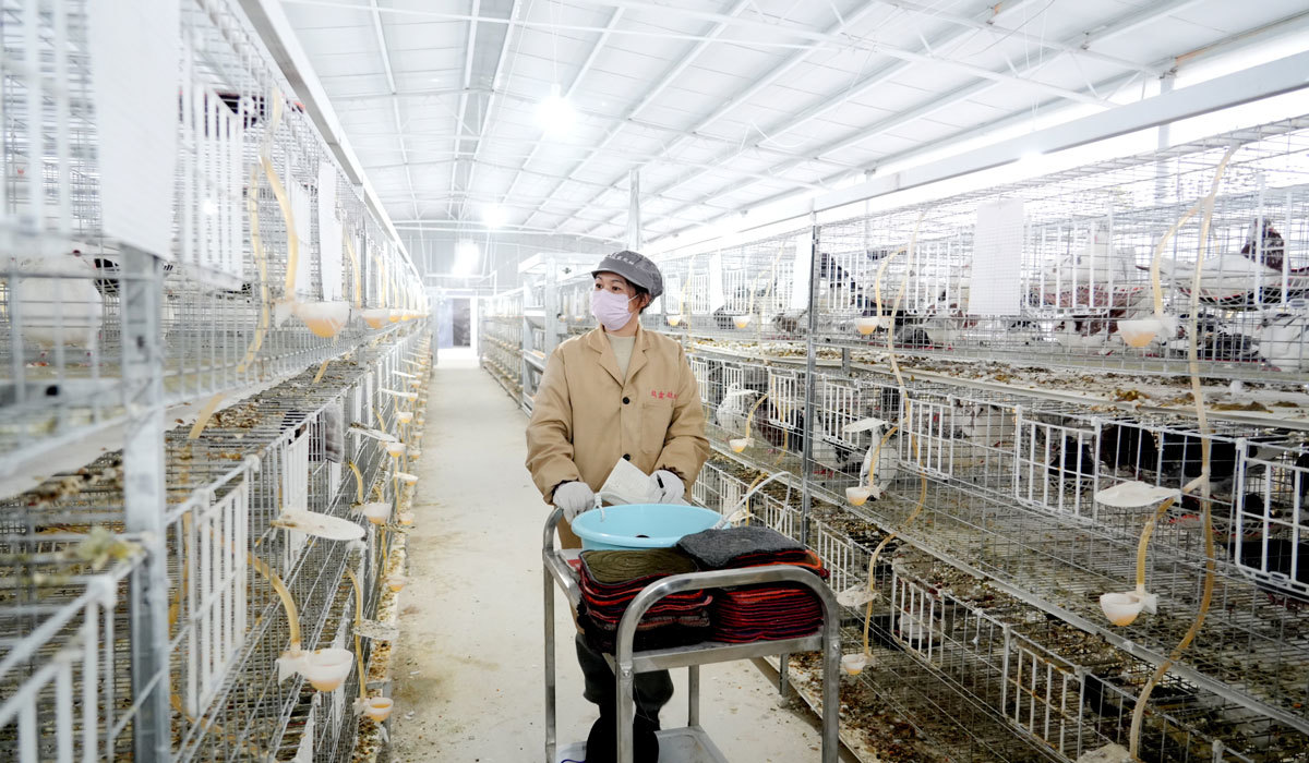 峡江县发展特色养殖业促增收（图）