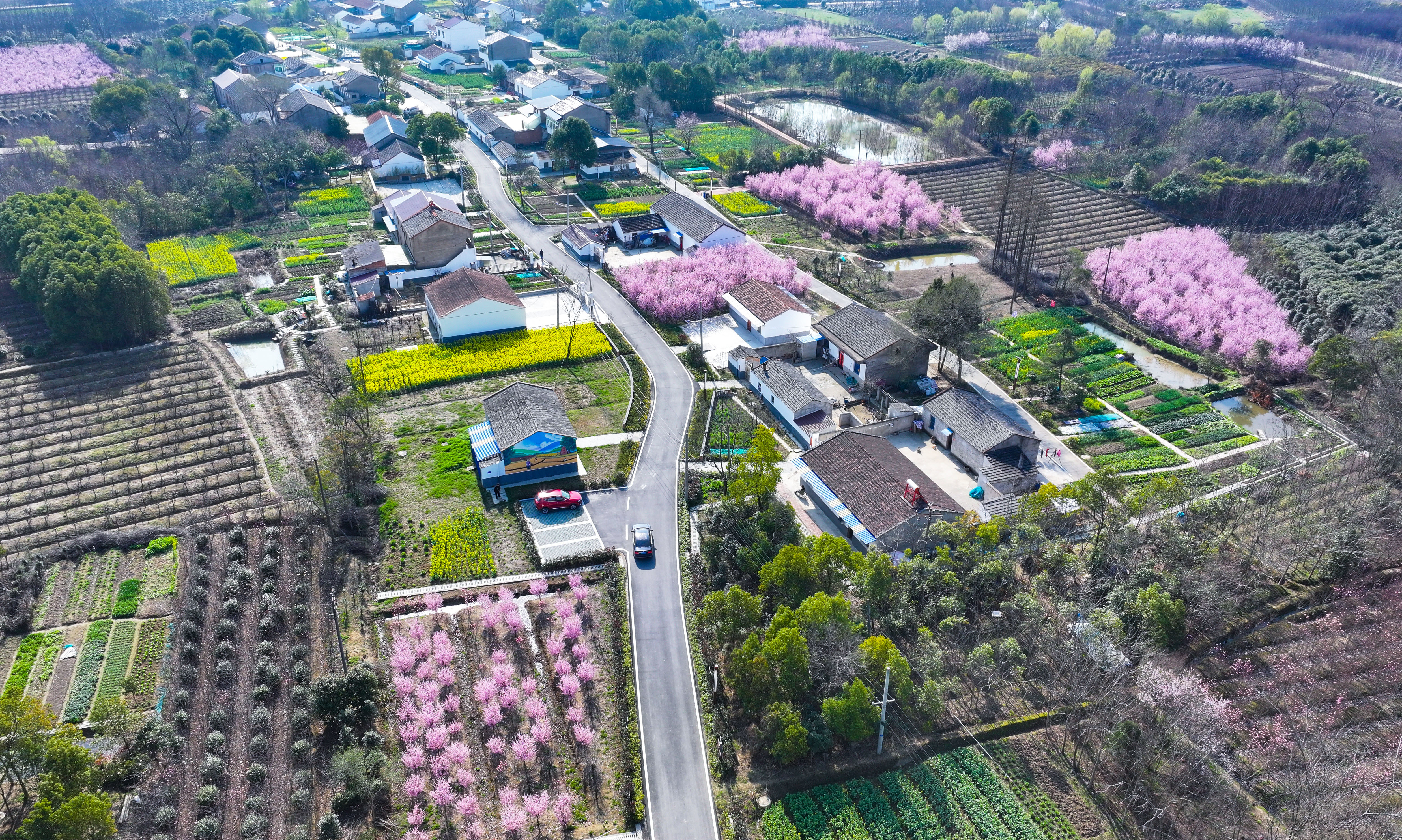 图8.2025年3月18日拍摄的安徽省合肥市肥西县丰乐镇大圩村美景（无人机照片）。
