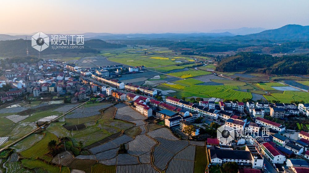 2025年3月19日在江西省吉安市峡江县砚溪镇拍摄。