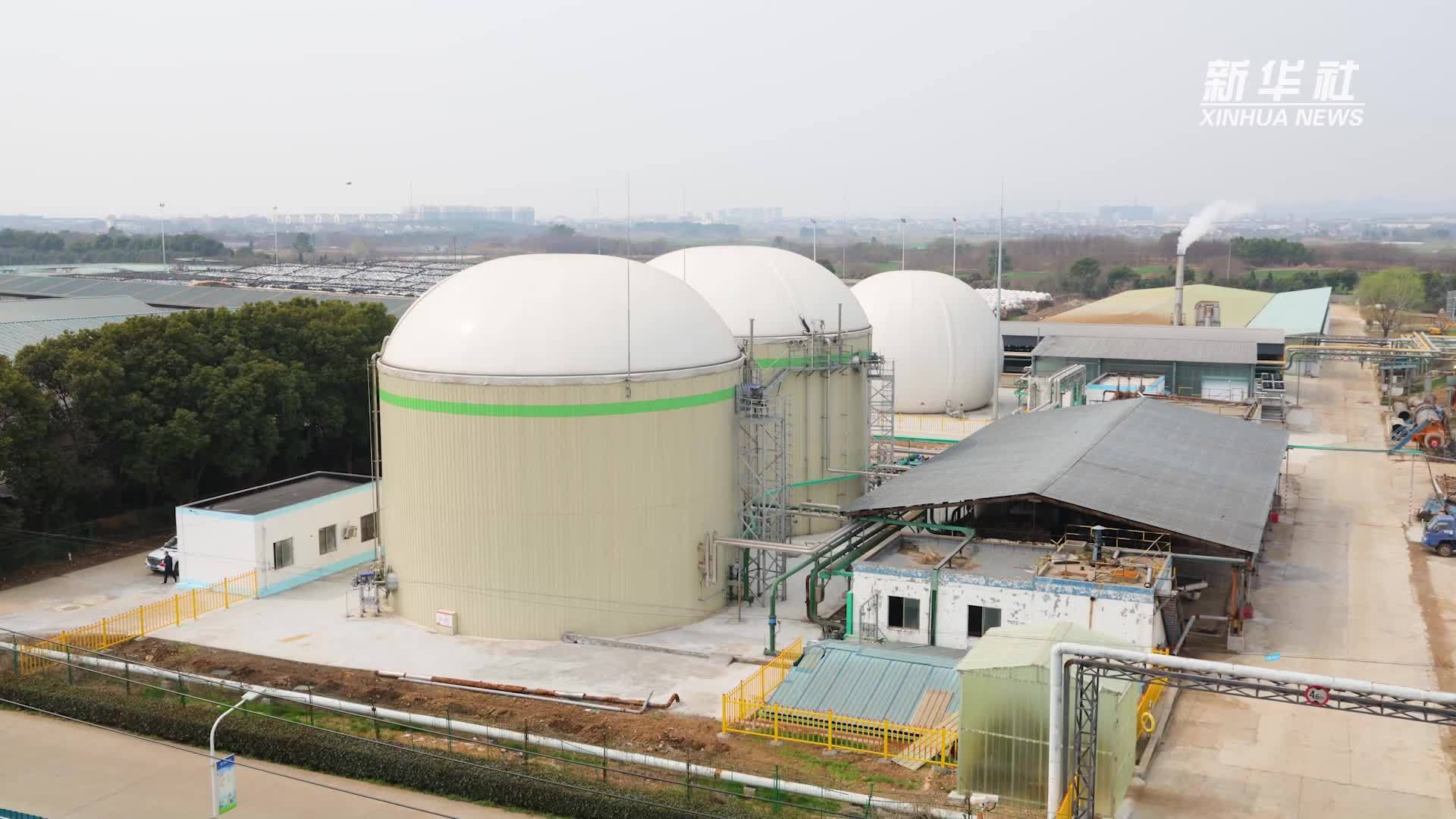 变废为宝 生态经济双赢