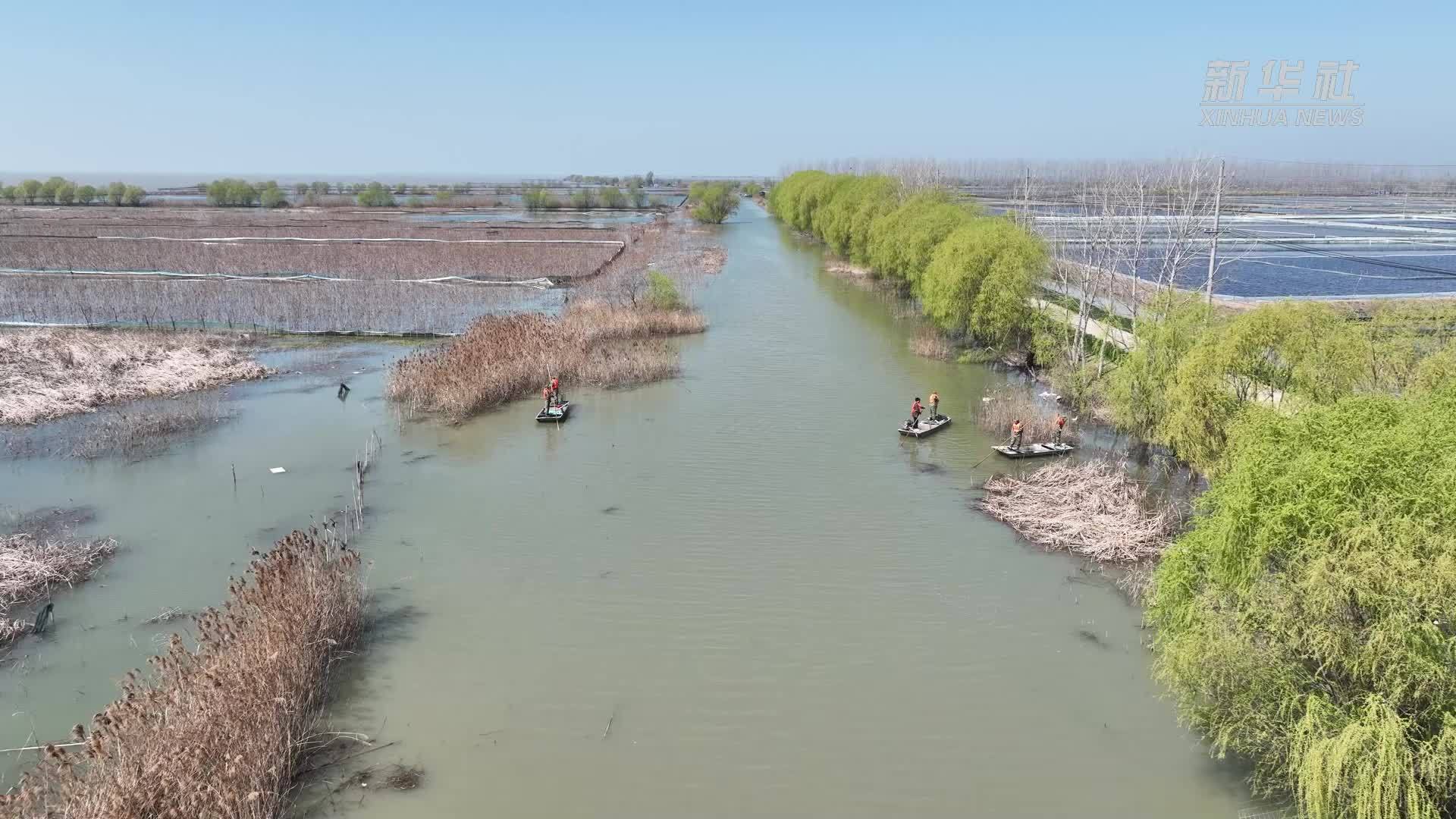 江苏泗洪：洪泽湖上护水忙