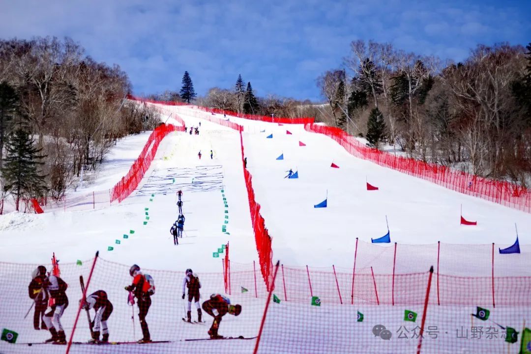 2025年“伯希和杯”全国滑雪登山冠军赛在黑龙江圆满落幕