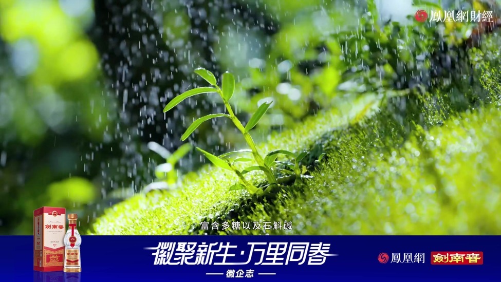 专访安徽龙尖斛生物科技有限公司