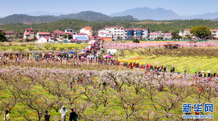 三月桃花盛开,吸引众多游人前来赏花游玩。新华网发